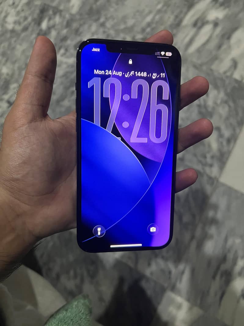 Apple iPhone 12 Pro Max 2