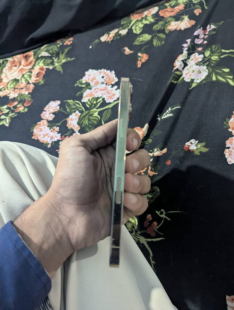 iPhone 13 Pro Max JV 3