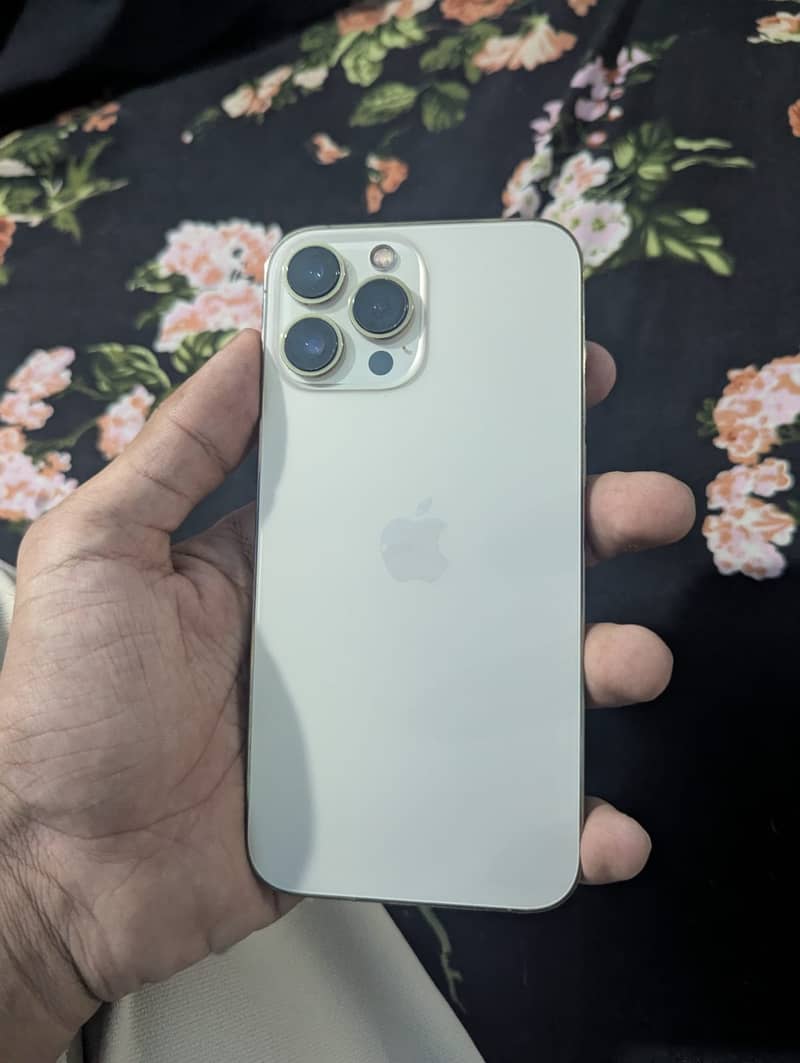 iPhone 13 Pro Max JV 5