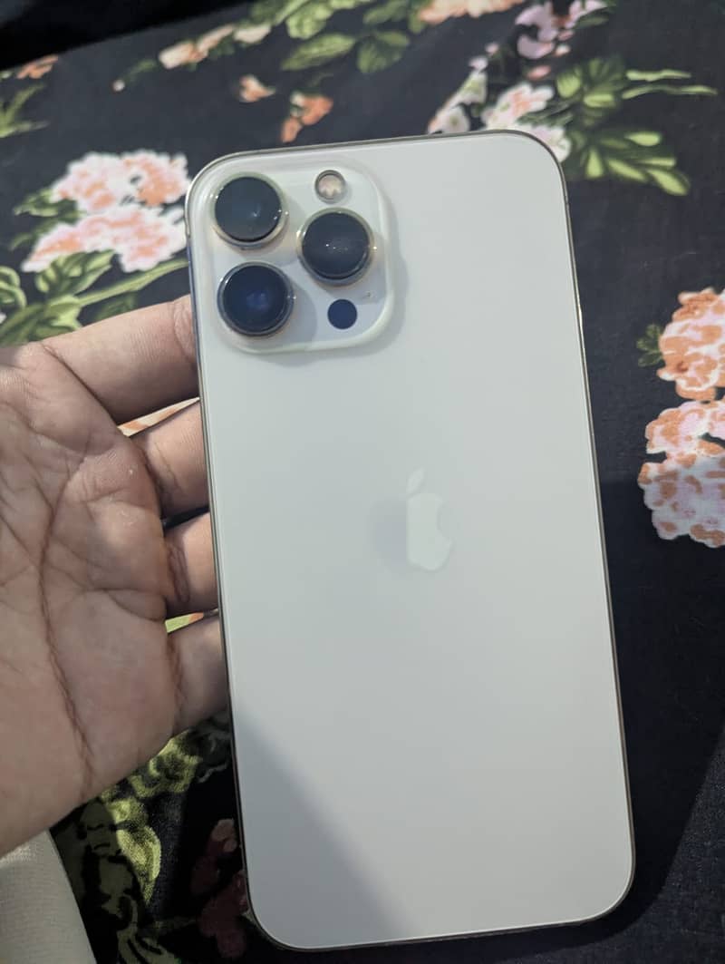 iPhone 13 Pro Max JV 7