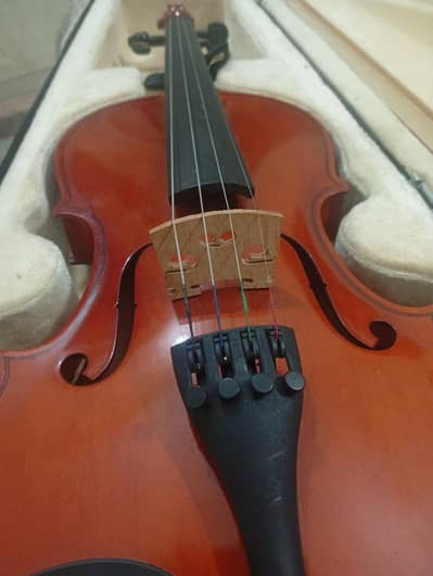Premium violin 4x4