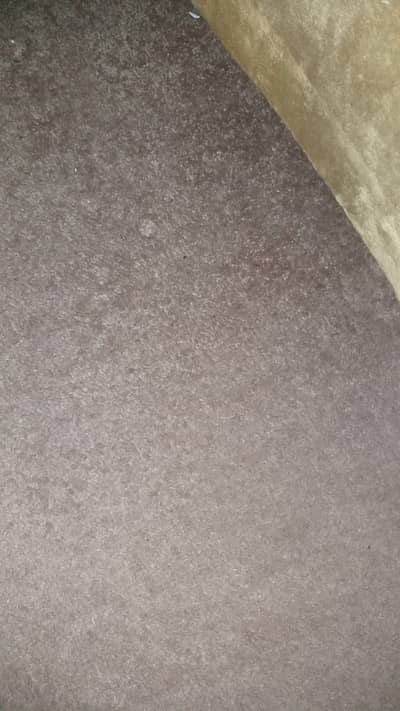 Carpet for sale