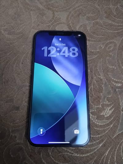 Apple iPhone 12 Pro Max