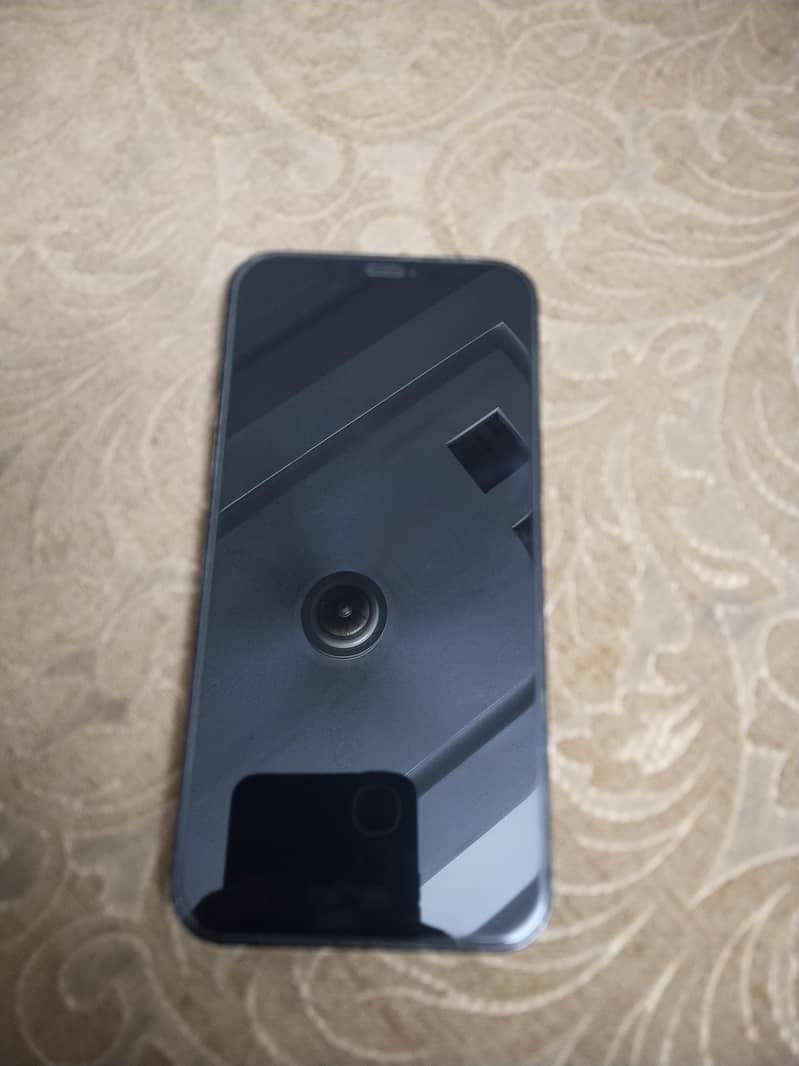 Apple iPhone 12 Pro Max 1