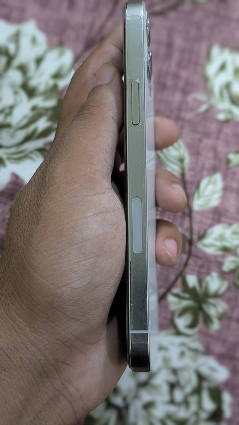 Apple iPhone 12 Pro 4
