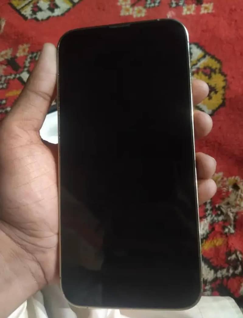 Apple iPhone 13 Pro Max 2