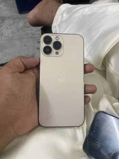 Apple iPhone 13 Pro Max