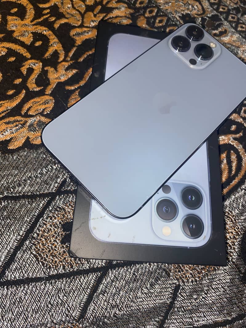 Apple iPhone 13 Pro Max 1