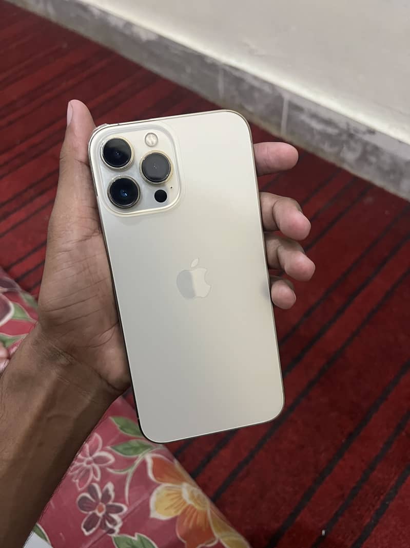 iphone 13 pro max 1