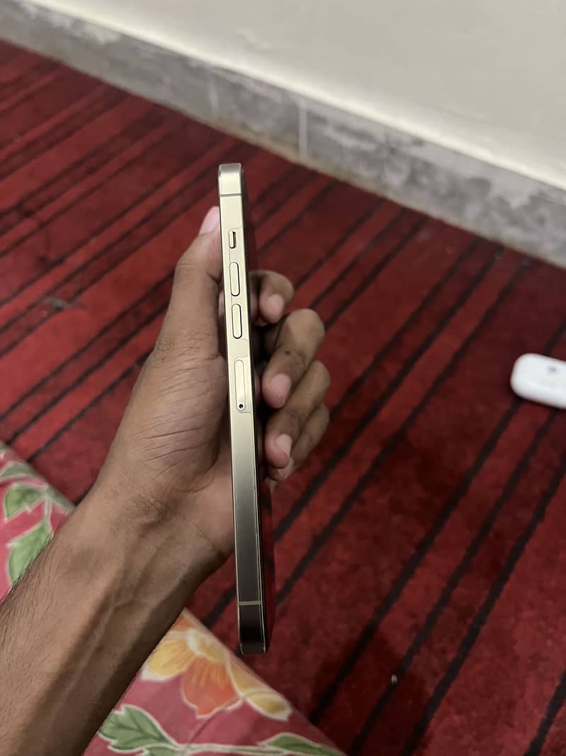 iphone 13 pro max 2