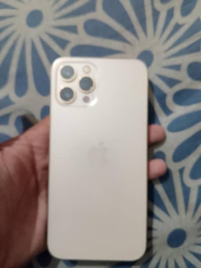 Apple iPhone 12 Pro Max