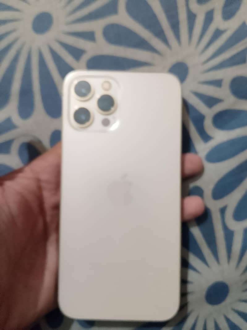 Apple iPhone 12 Pro Max 0