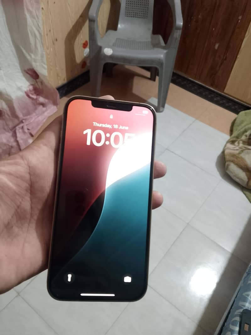 Apple iPhone 12 Pro Max 2