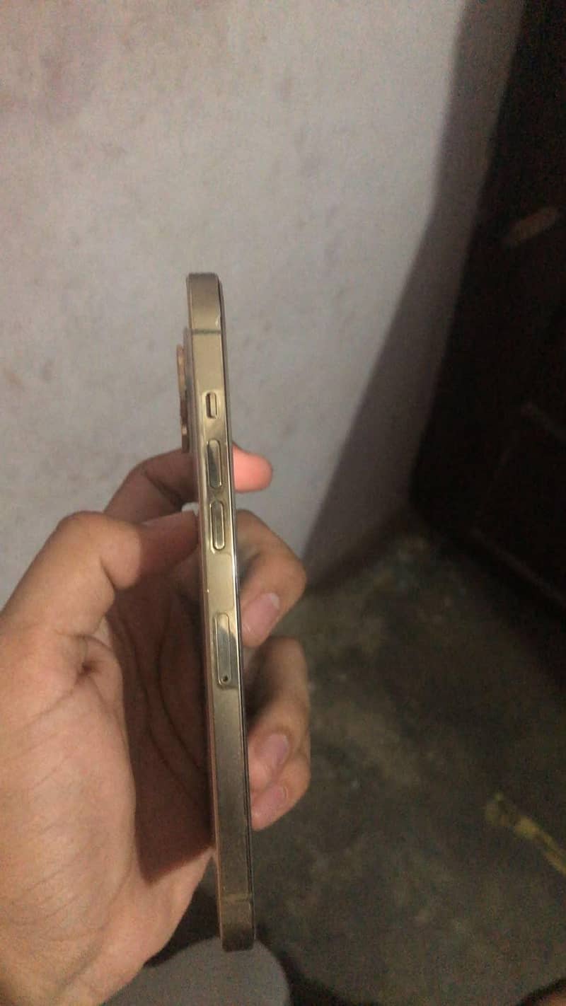 Apple iPhone 12 Pro Max 1