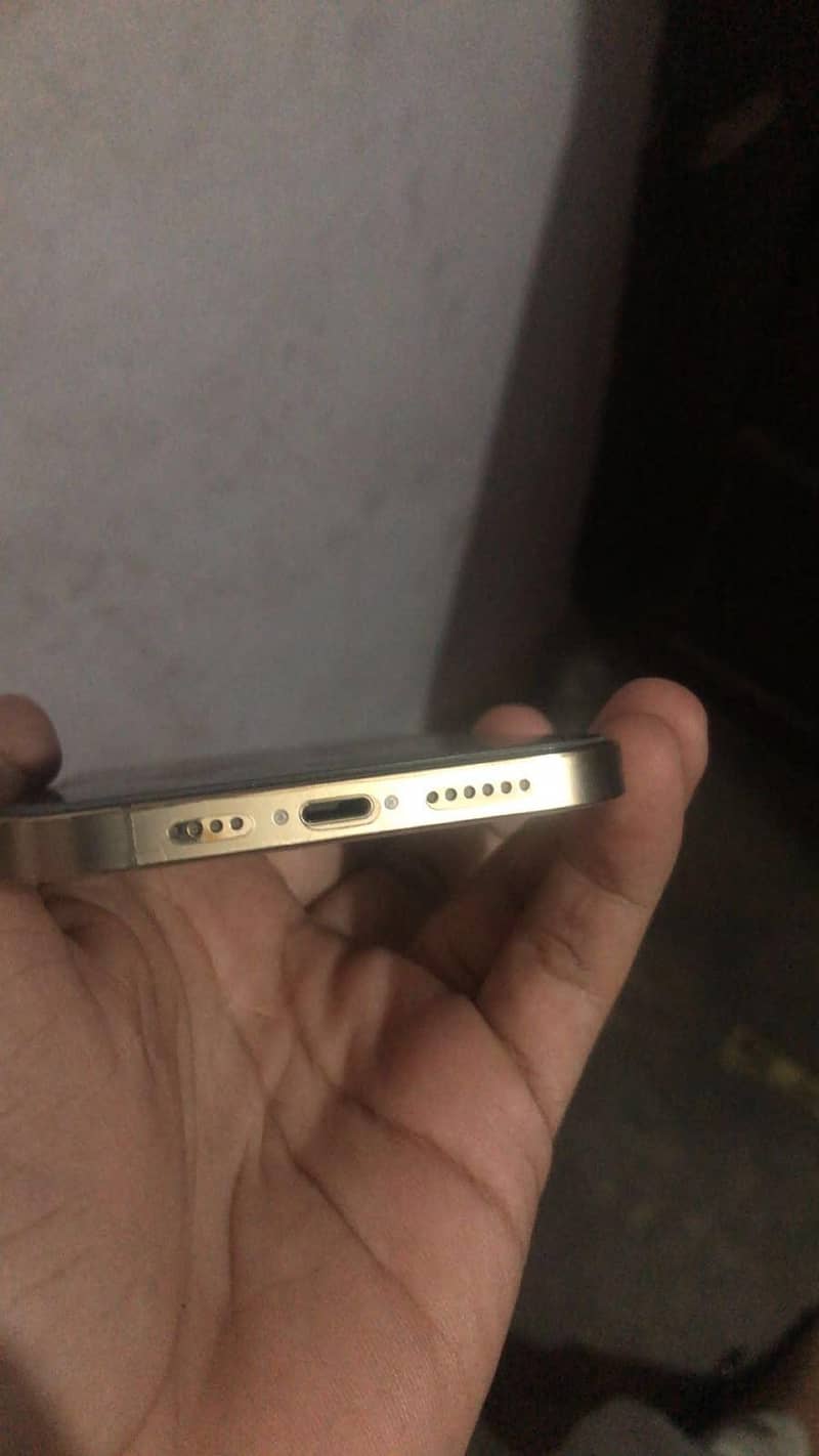 Apple iPhone 12 Pro Max 2