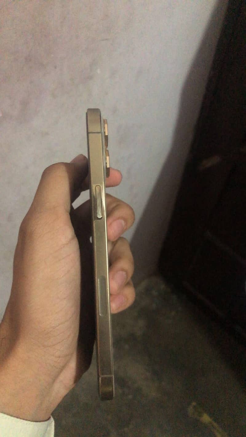 Apple iPhone 12 Pro Max 4