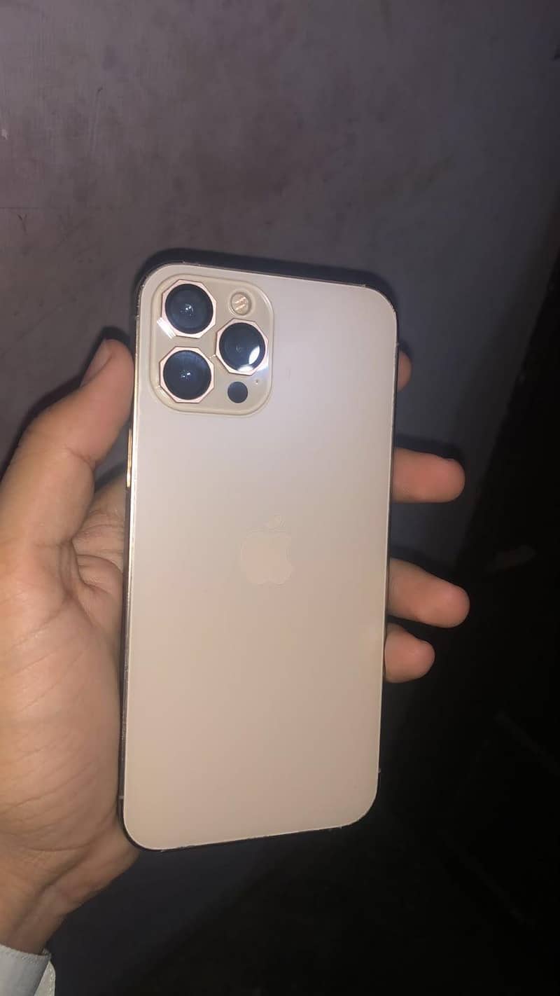 Apple iPhone 12 Pro Max 5