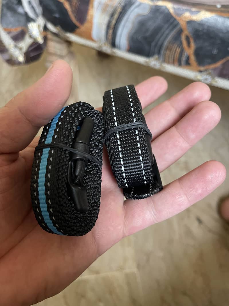 Dog training collar 5