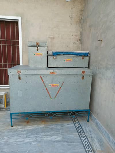 petti trunk