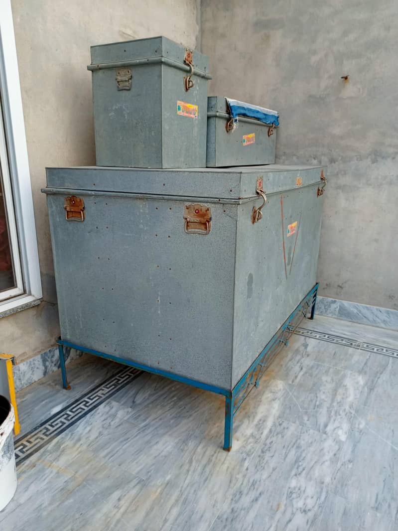 petti trunk 1