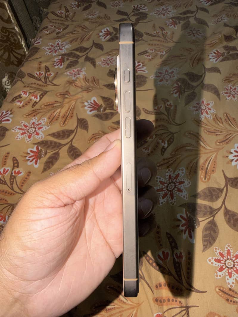 Apple iPhone 16 Pro Max 2