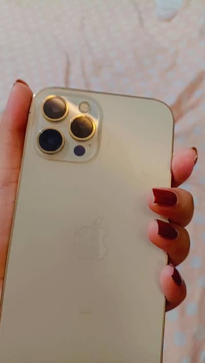 Apple iPhone 12 Pro Max