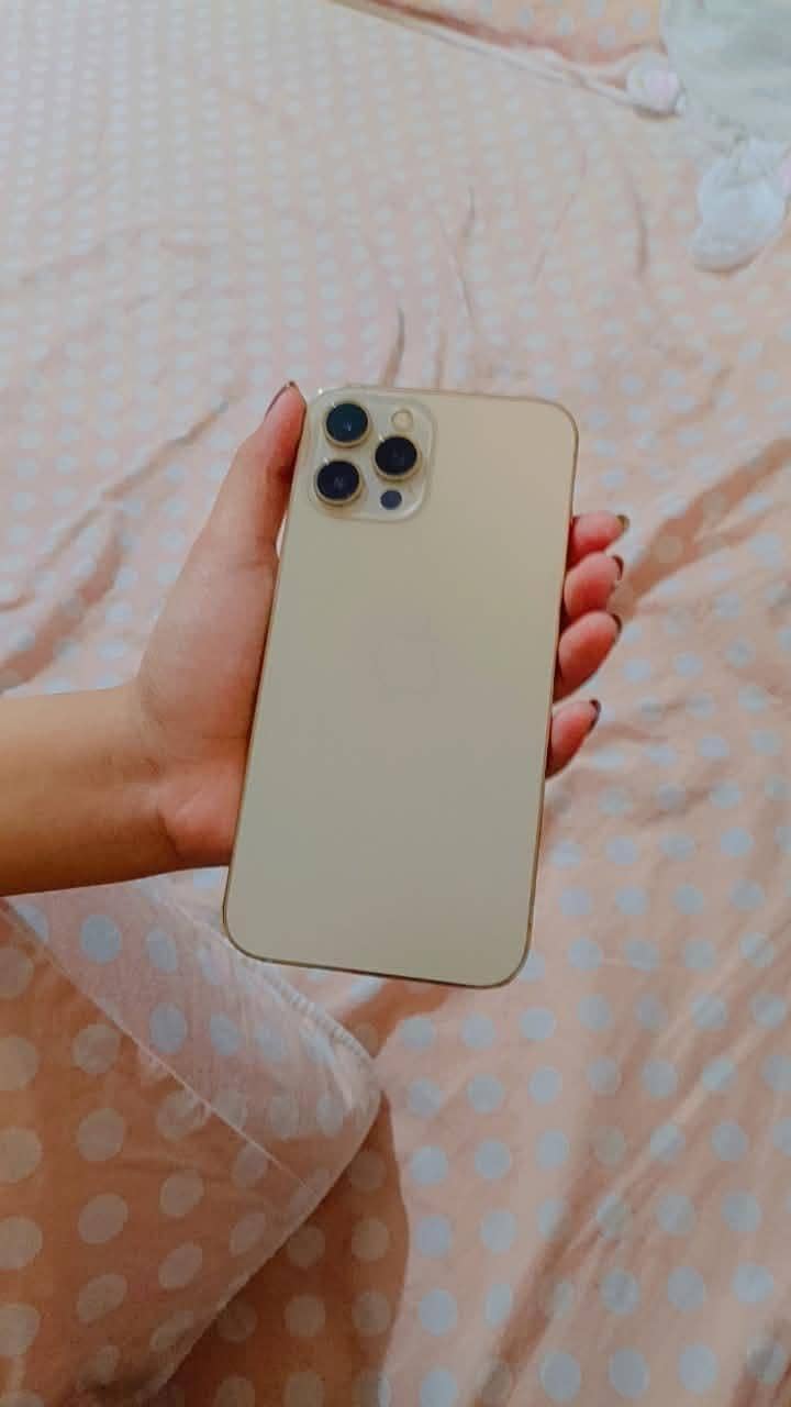 Apple iPhone 12 Pro Max 1