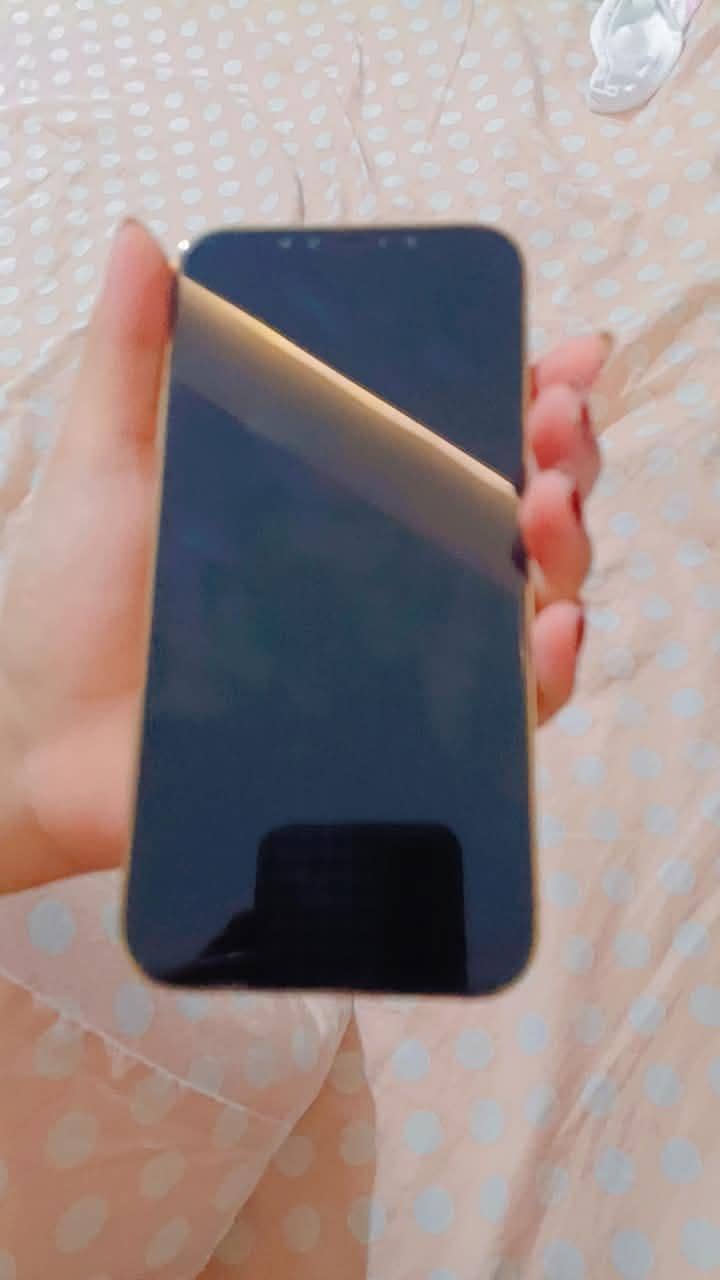 Apple iPhone 12 Pro Max 2