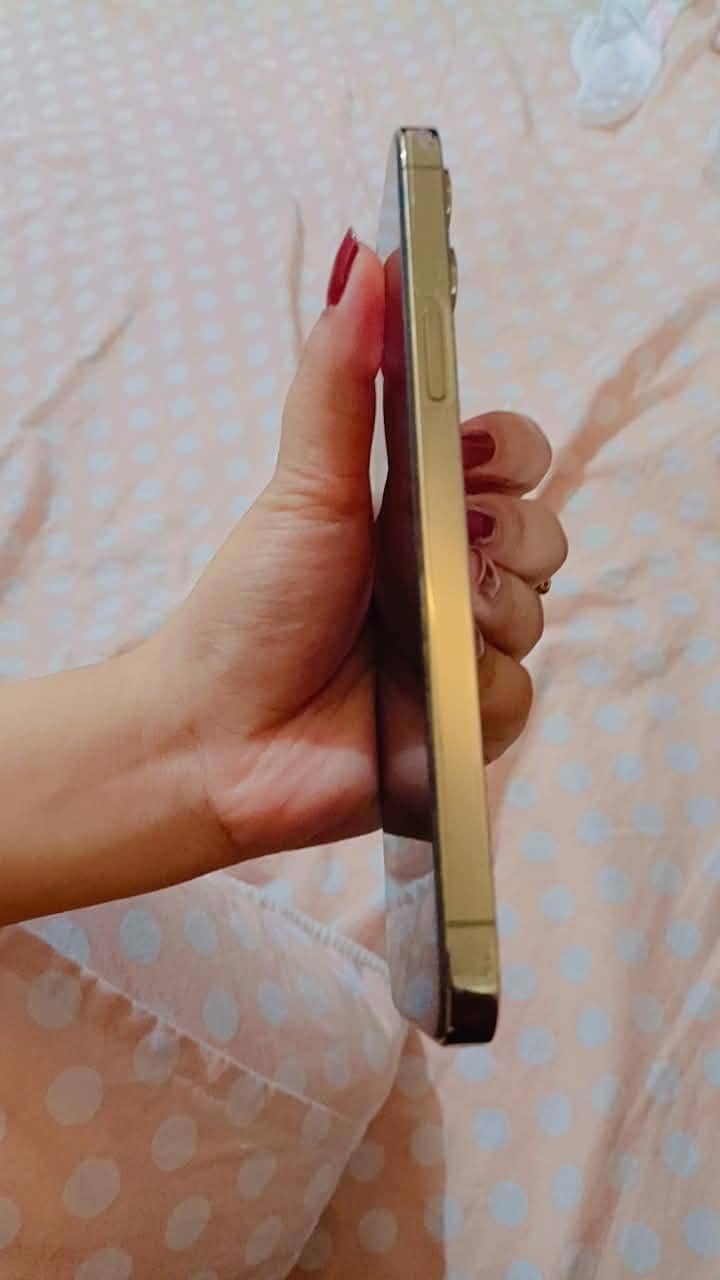 Apple iPhone 12 Pro Max 3