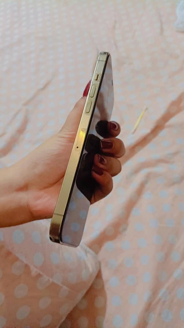 Apple iPhone 12 Pro Max 4