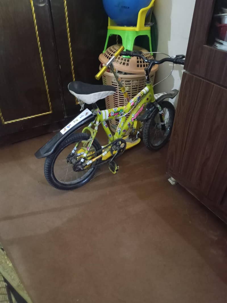 bicycle 1