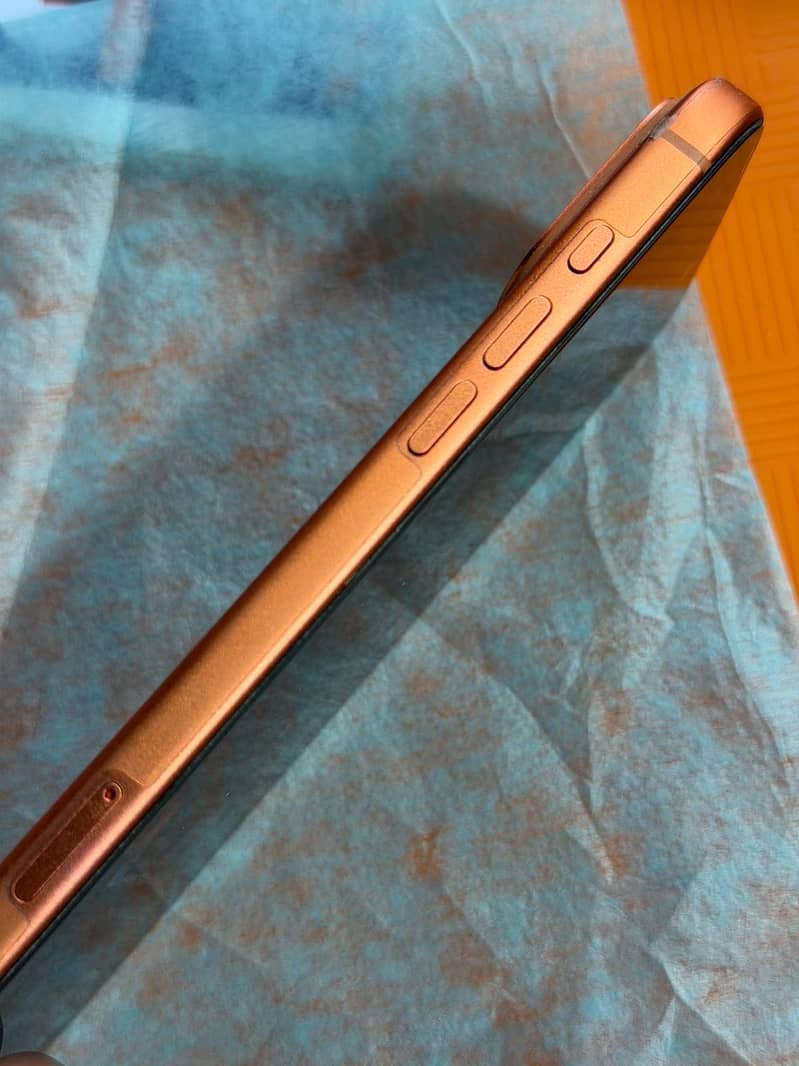 Apple iPhone 17 Pro Max 4