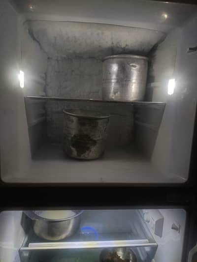 Hair fridge