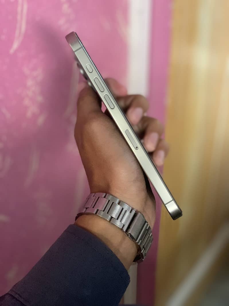 Apple iPhone 15 Pro Max 2