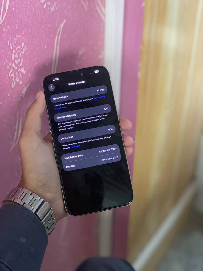 Apple iPhone 15 Pro Max 3