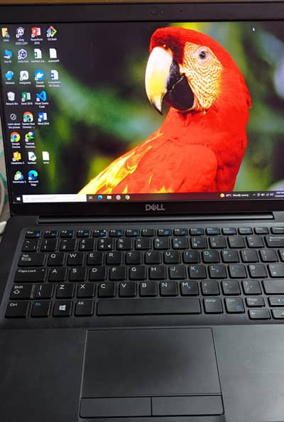 laptop in affordable price