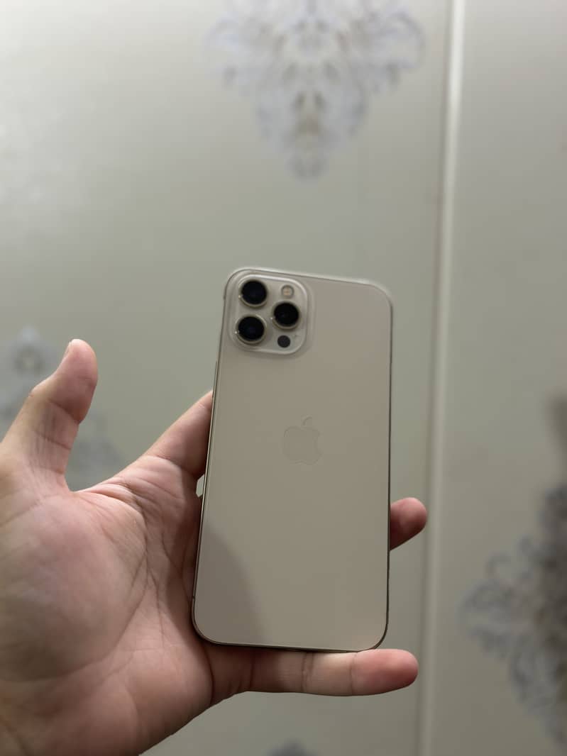Apple iPhone 12 Pro Max 1