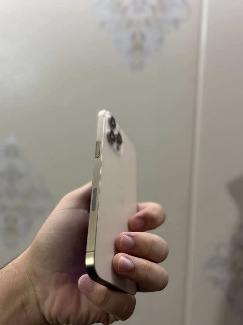 Apple iPhone 12 Pro Max 2