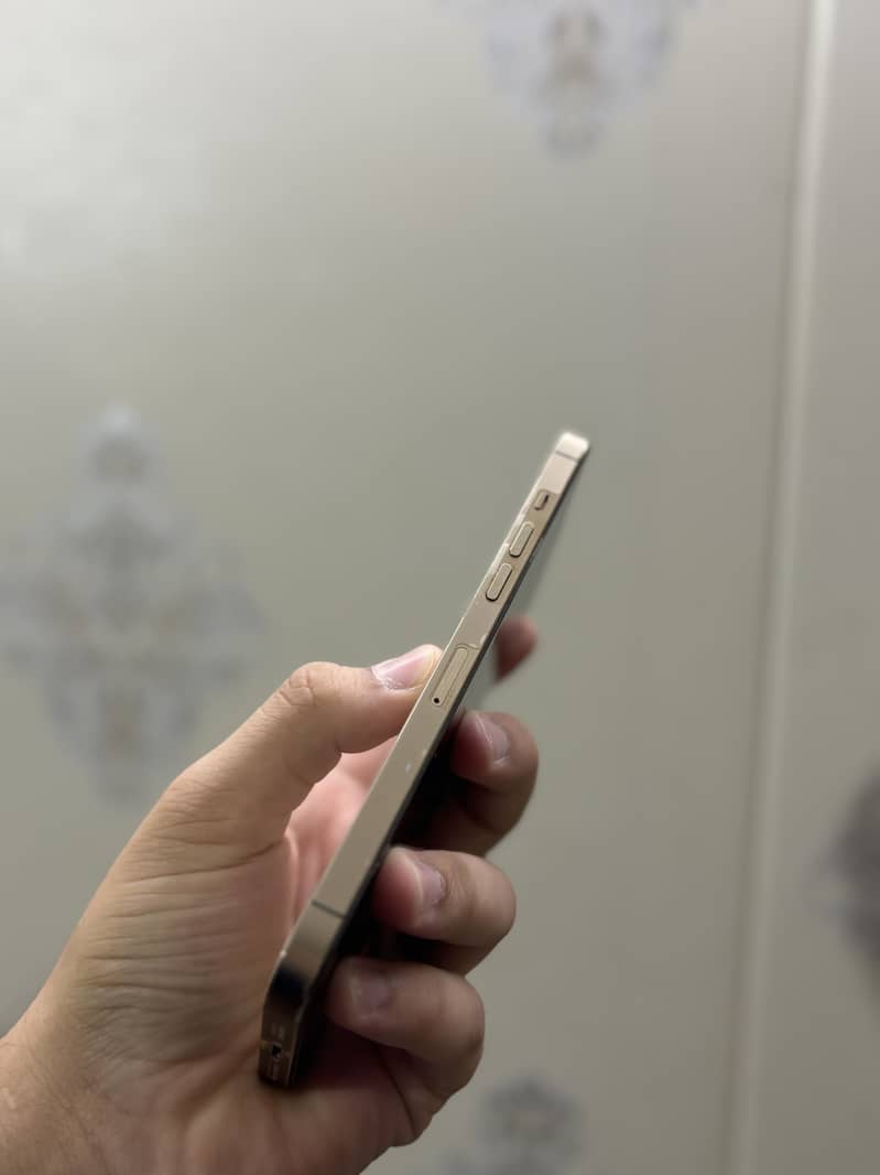 Apple iPhone 12 Pro Max 5