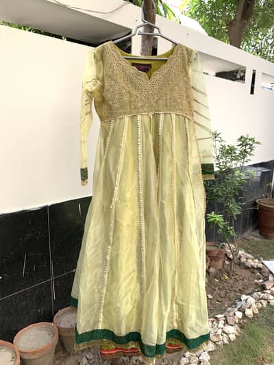 Light Green Embroidered Maxi Dress with Dupatta