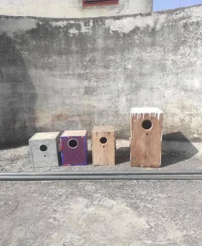 Used Parrot Nesting Boxes for Sale (Good Condition)