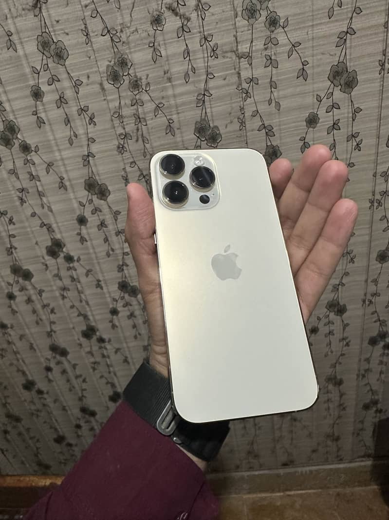 Apple iPhone 14 Pro Max 1