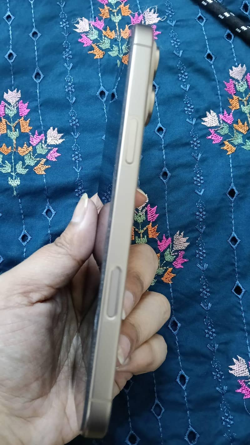 Apple iPhone 16 Pro Max 1