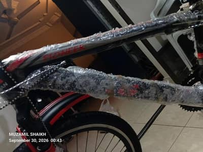 Elite Royal Mogan -urgent sale-