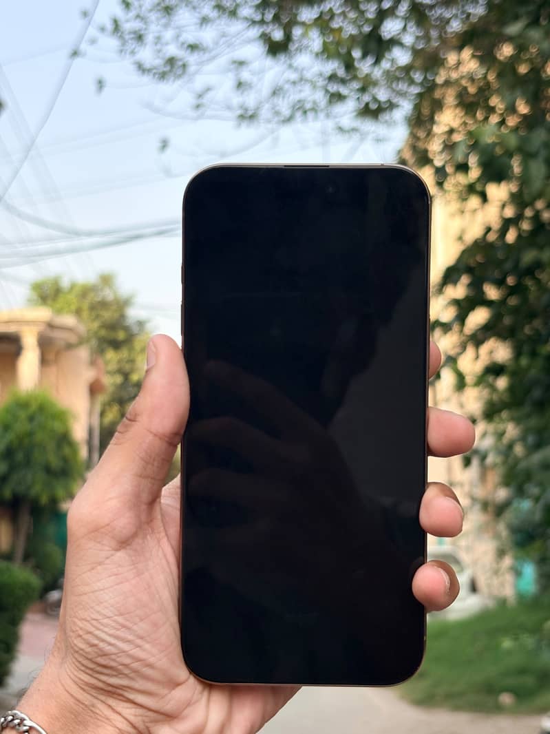 Apple iPhone 16 Pro Max 1