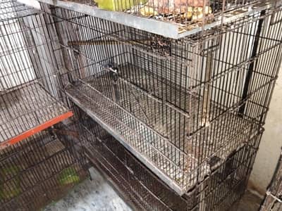 Folding Cages