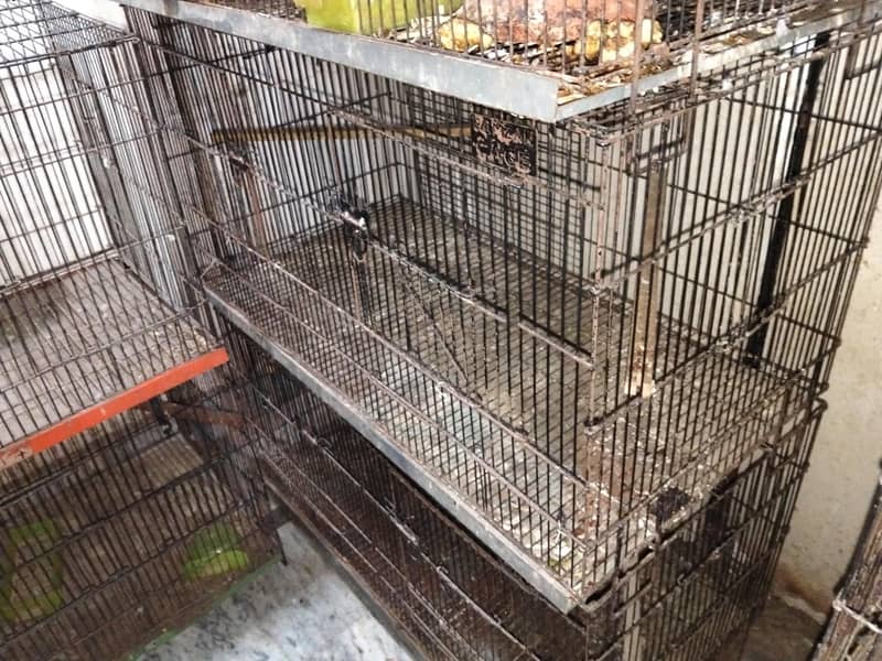 Folding Cages 0