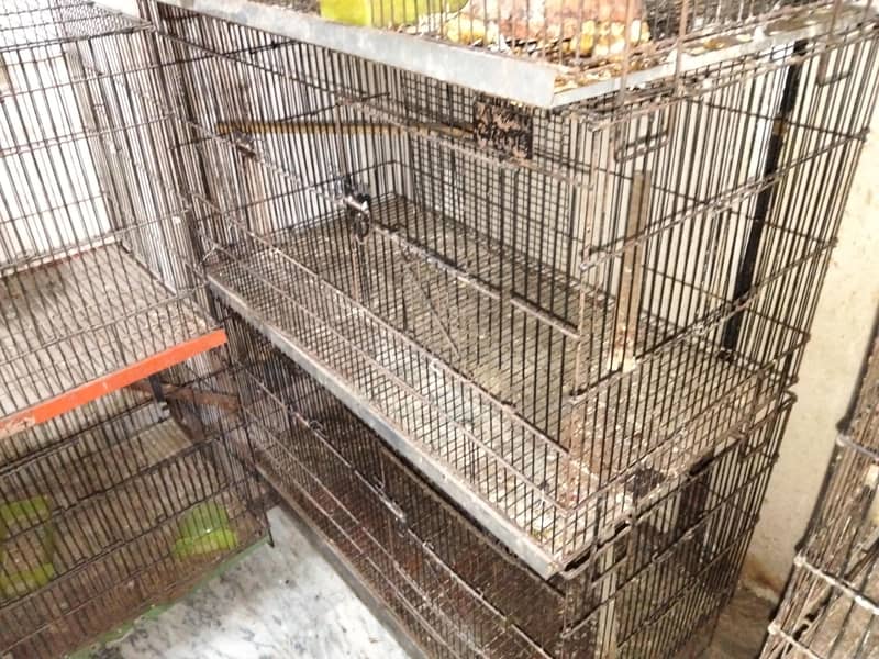 Folding Cages 1