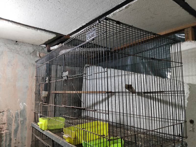 Folding Cages 3