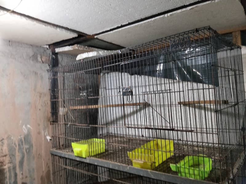 Folding Cages 4